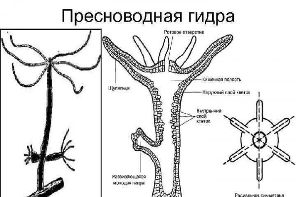 Как подключиться к даркнету