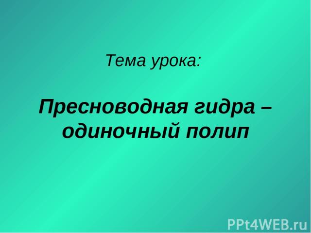 Кракен нарка шоп